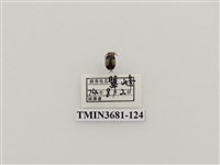 藏品(鄭氏瘤額葉蚤)的圖片